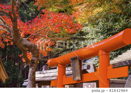 大山阿夫利神社天満宮 81632964