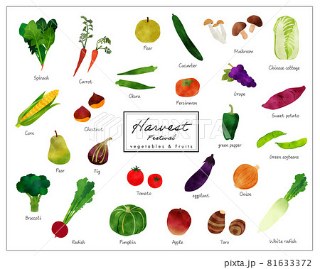 カラフルな水彩にじみのある野菜イラストセット 81633372