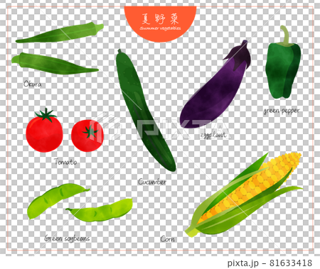 シンプルな夏野菜セット02/手描き水彩/園芸 シンプルな夏野菜セット02/手描き水彩/園芸 81633418