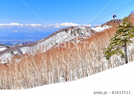 志賀高原／東館山スキー場より西館山、妙高山方面を望む(長野県山ノ内町)【2021.3】 81633511