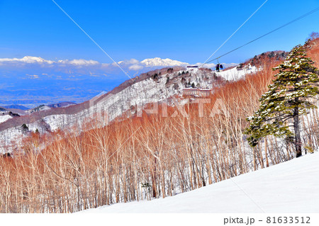 志賀高原/東館山スキー場より西館山、妙高山方面を望む(長野県山ノ内町)【2021.3】 志賀高原/東館山スキー場より西館山、妙高山方面を望む(長野県山ノ内町)【2021.3】 81633512