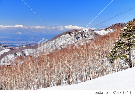 志賀高原/東館山スキー場より西館山、妙高山方面を望む(長野県山ノ内町)【2021.3】 志賀高原/東館山スキー場より西館山、妙高山方面を望む(長野県山ノ内町)【2021.3】 81633513