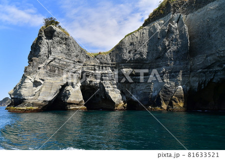 観光船から見た島 観光船から見た島 81633521