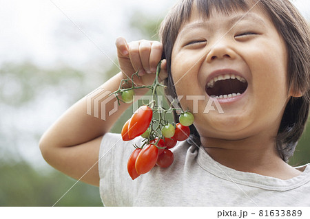 ミニトマトを持つ農家の子供 ミニトマトを持つ農家の子供 81633889