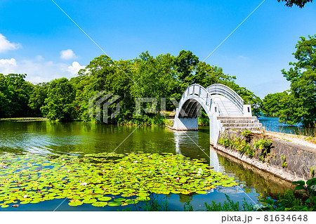 北海道七飯町 大沼国定公園 北海道七飯町 大沼国定公園 81634648