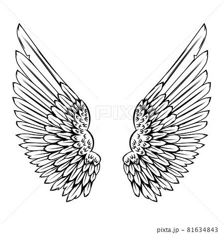 illustration of wings in tattoo style isolated on white background. Design element for logo, label, badge, sign. Vector illustration 81634843