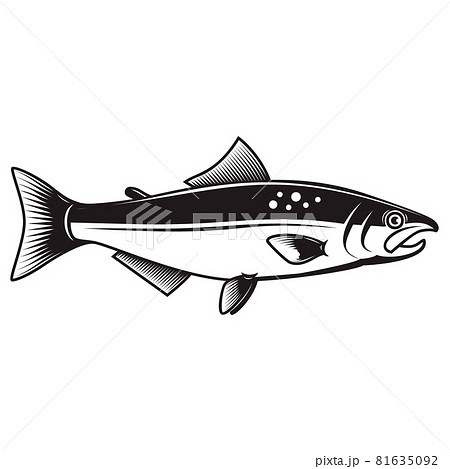Illustration of the salmon fish isolated on white background. Design element for logo, label, badge, sign. Vector illustration Illustration of the salmon fish isolated on white background. Design element for logo, label, badge, sign. Vector illustration 81635092