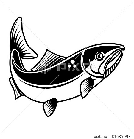 Illustration of the salmon fish isolated on white background. Design element for logo, label, badge, sign. Vector illustration 81635093