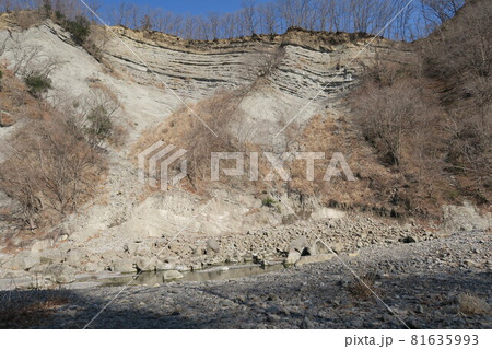 埼玉県秩父郡小鹿野町のようばけの風景 81635993
