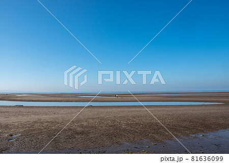 真玉海岸の干潟 真玉海岸の干潟 81636099