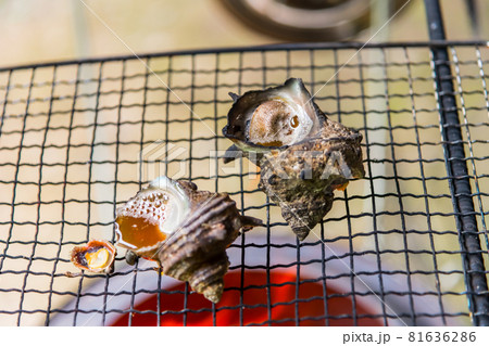 【オートキャンプ場でサザエのつぼ焼き】 【オートキャンプ場でサザエのつぼ焼き】 81636286