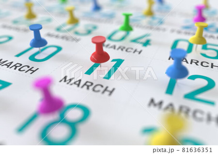 March 11 date and push pin on a calendar, 3D rendering 81636351