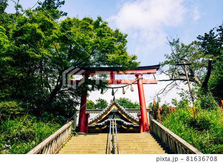 高尾山薬王院　御本社への参道　鳥居　夏 81636708