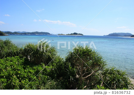 離島夏風景　沖縄の海 81636732