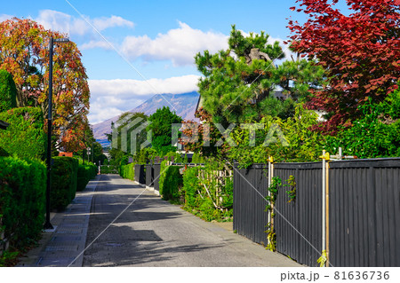 整然としたかつての武家屋敷街　仲町伝統的建造物群保存地区（青森県弘前市） 81636736
