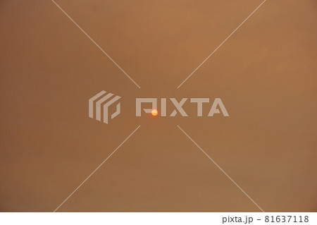 Sun shining through a cloud of smoke caused by forest fire 81637118