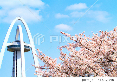 一宮市、ツインアーチ138と満開の桜の風景 81637346