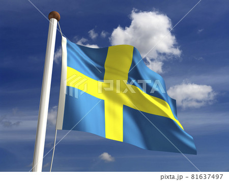 Sweden flag (with clipping path) 81637497
