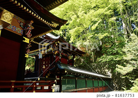 三峯神社の「本殿」(埼玉県秩父市三峰) 三峯神社の「本殿」(埼玉県秩父市三峰) 81637753
