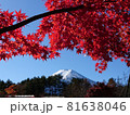 紅葉と富士 81638046