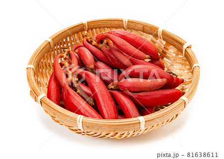 ツチアケビ ツチアケビ 81638611