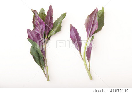 ハンダマー 81639110