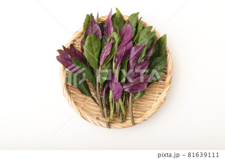 ハンダマー ハンダマー 81639111