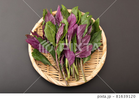 ハンダマー 81639120