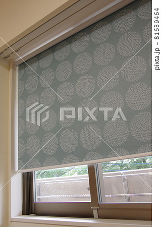 ロールスクリーン 81639464