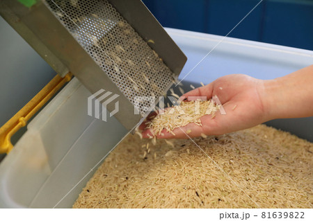 Factory machine Milling rice in close up Factory machine Milling rice in close up 81639822