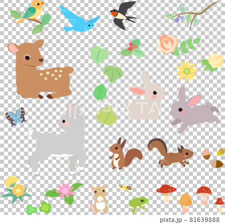 Small animal and flower decoration illustration set 81639888