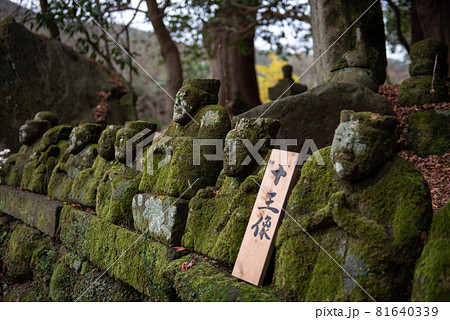 平安の祈り 富貴寺 平安の祈り 富貴寺 81640339