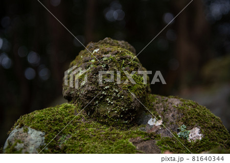 平安の祈り 富貴寺 平安の祈り 富貴寺 81640344