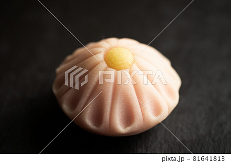 お花の練り切り 和菓子茶菓子イメージ お花の練り切り 和菓子茶菓子イメージ 81641813