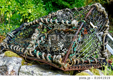 Vintage trawl - Close up of fish trap for lobster and crab fishing Vintage trawl - Close up of fish trap for lobster and crab fishing 81641919