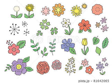 手描きの花イラストのセット（カラー） 81642065