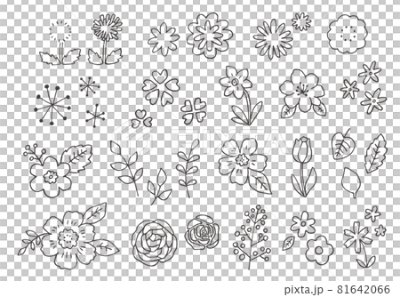 手描きの花イラストのセット（モノクロ） 81642066
