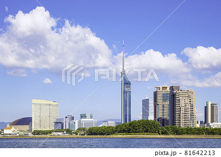 福岡タワーのある風景 81642213