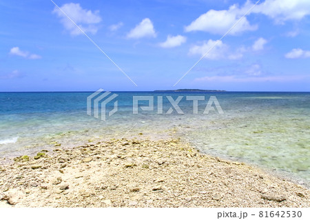 西表島そばの奇跡の島・バラス島 西表島そばの奇跡の島・バラス島 81642530