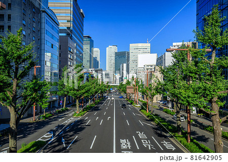 名古屋市　朝の桜通りを行き交う車 81642905