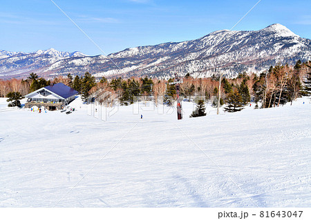 寺小屋スキー場より岩菅山方面を望む(長野県山ノ内町)【2021.3】 81643047