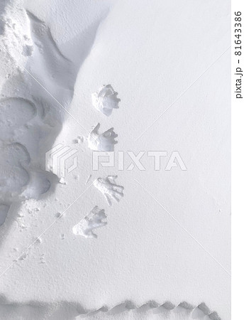 雪に付けた手形 81643386