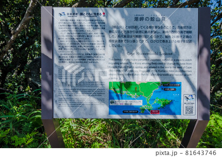 潮岬の鯨山見 看板 潮岬の鯨山見 看板 81643746