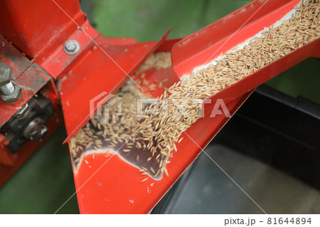 Factory machine Milling rice in close up Factory machine Milling rice in close up 81644894