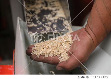 Factory machine Milling rice in close up Factory machine Milling rice in close up 81645169
