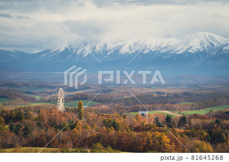 北海道美瑛の紅葉 北海道美瑛の紅葉 81645268