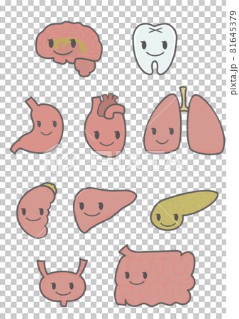 イラスト素材：人体の内臓や歯を笑顔の表情をつけて健康的に表現したイラストのセット 81645379