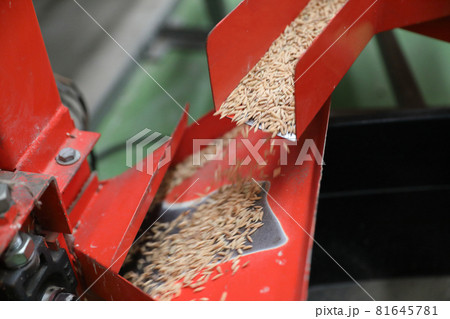 Factory machine Milling rice in close up Factory machine Milling rice in close up 81645781