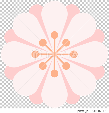 Simple pink flower illustration Simple pink flower illustration 81646116