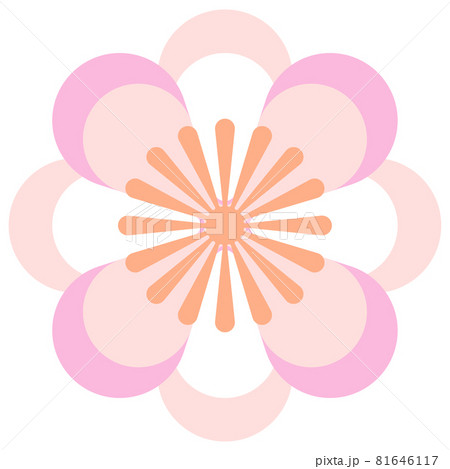 シンプルなピンク色の花のイラスト 81646117